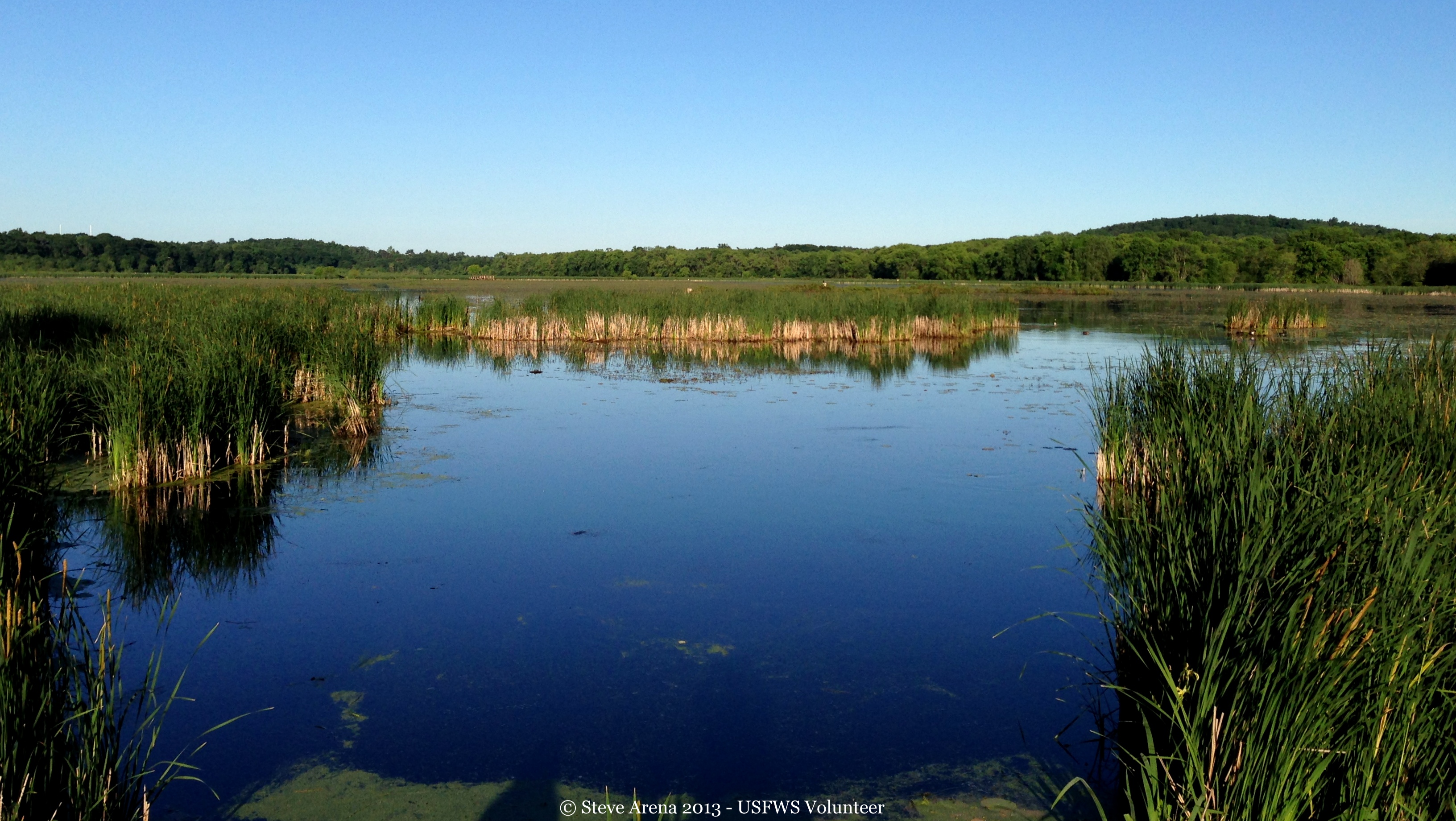 Great Meadows National Wildlife Refuge Wetland FWS.gov